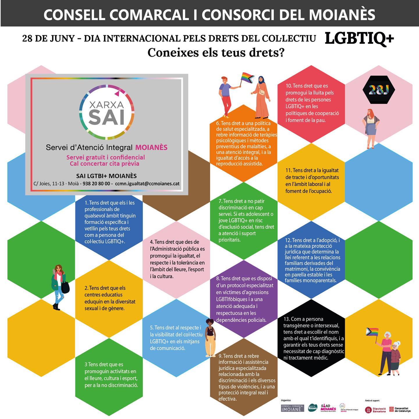 Dia Internacional pels Drets del Col·lectiu LGBTIQ+