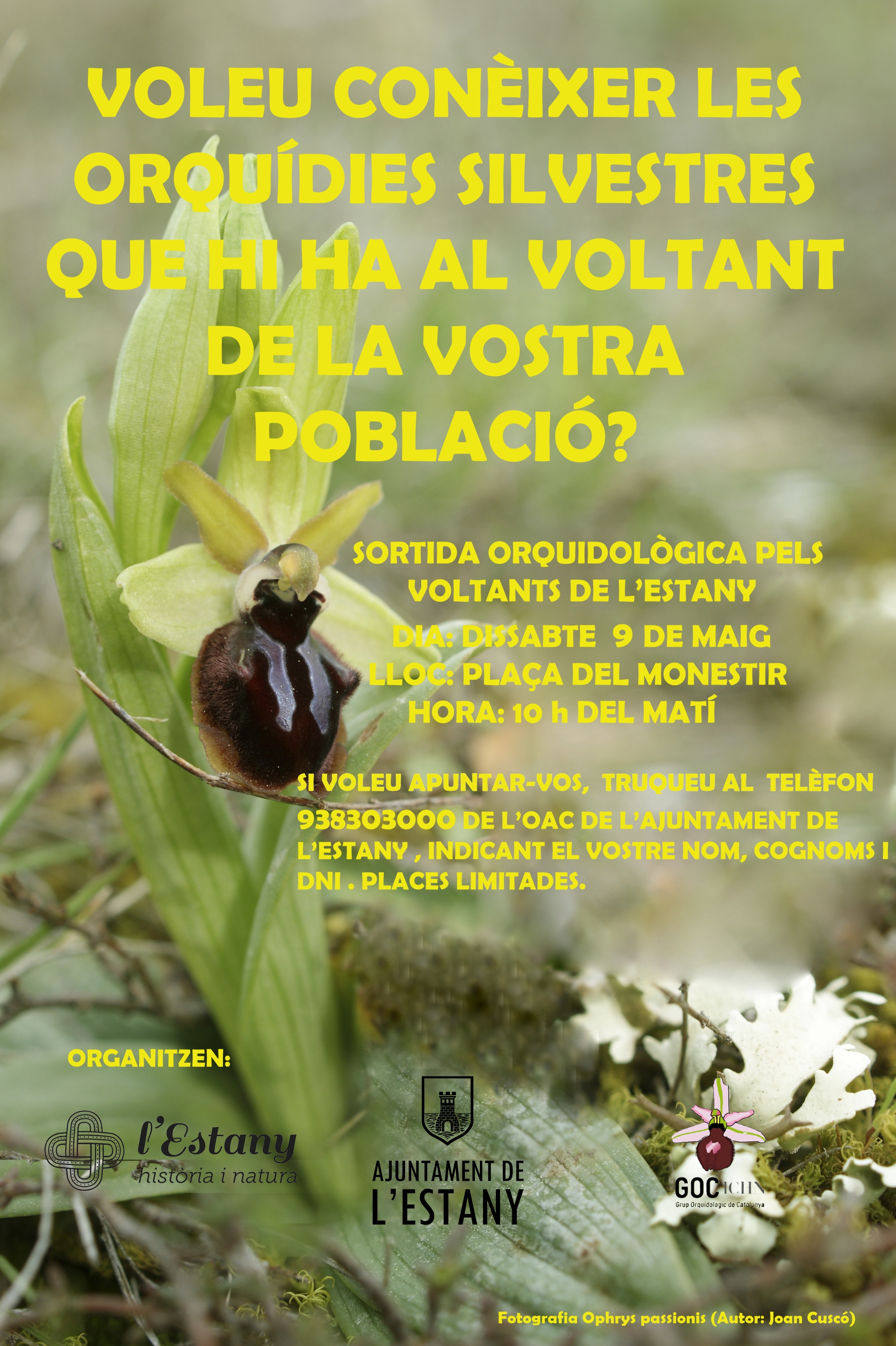 Caminada per conèixer les orquídies de l'Estany 