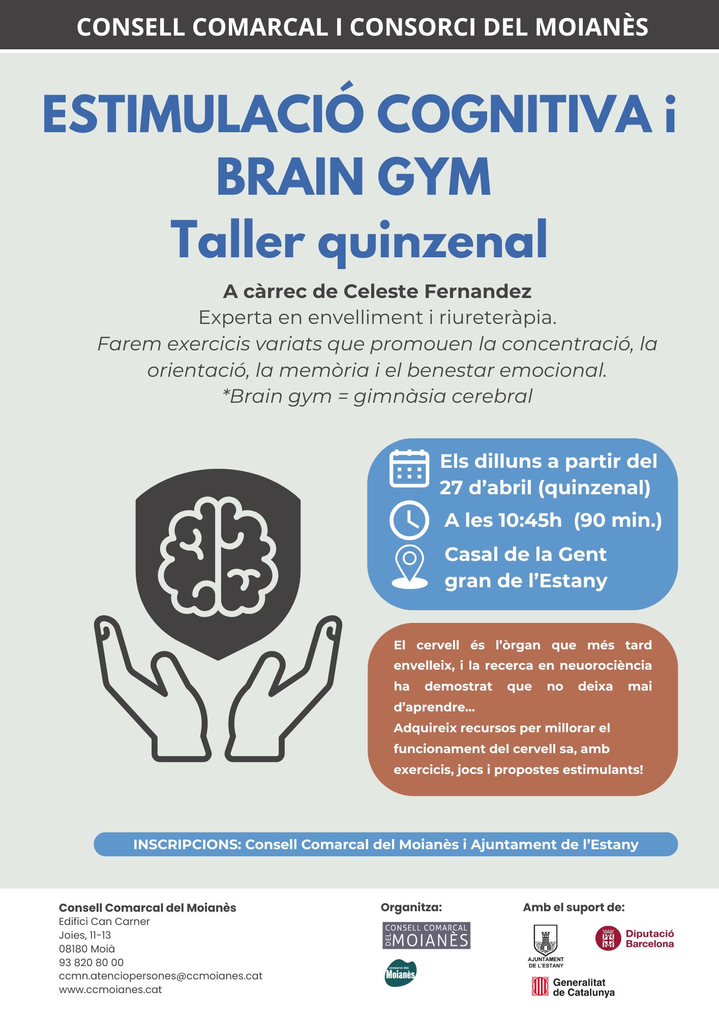 Taller d'estimulaci&oacute; cognitiva 2026