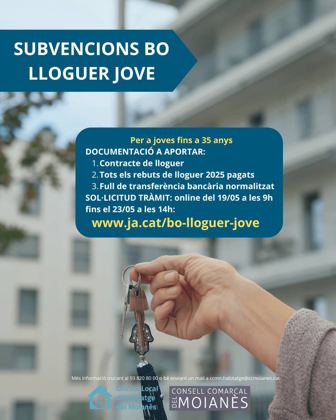 Bo lloguer jove
