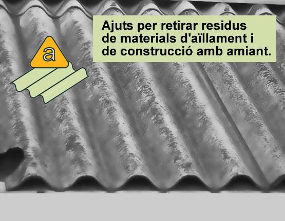 Subvencions relacionades amb l'amiant